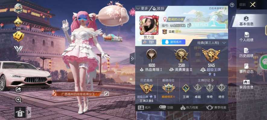 和平精英服务图片1
