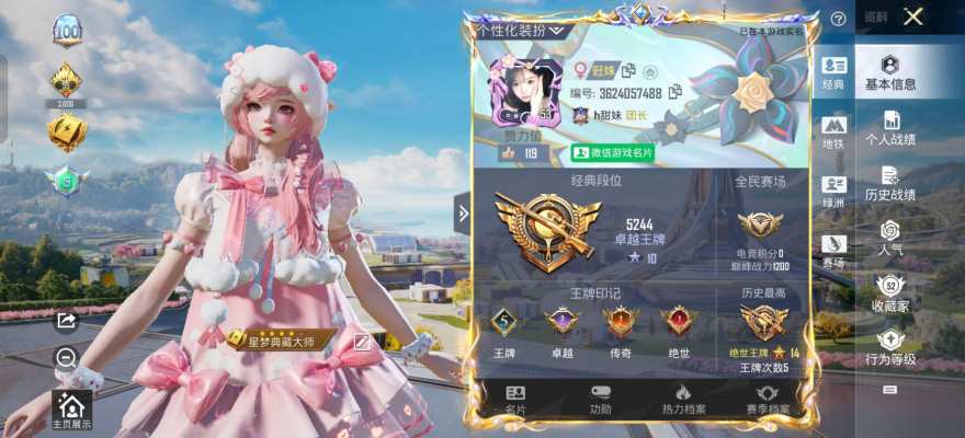 和平精英服务图片1