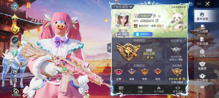 和平精英服务图片1