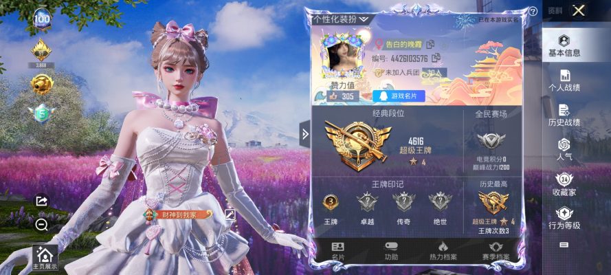 和平精英服务图片1