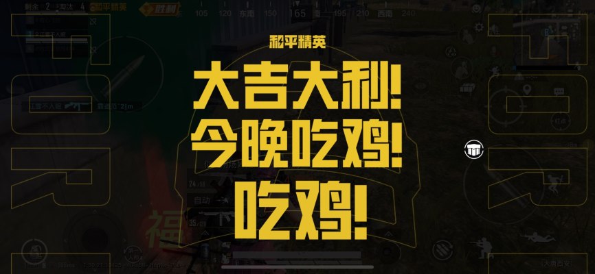和平精英服务图片1