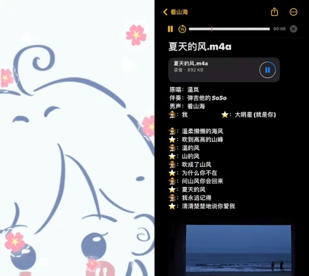 连麦服务图片1
