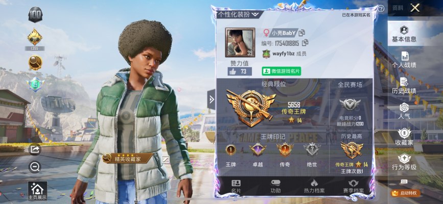 和平精英服务图片1