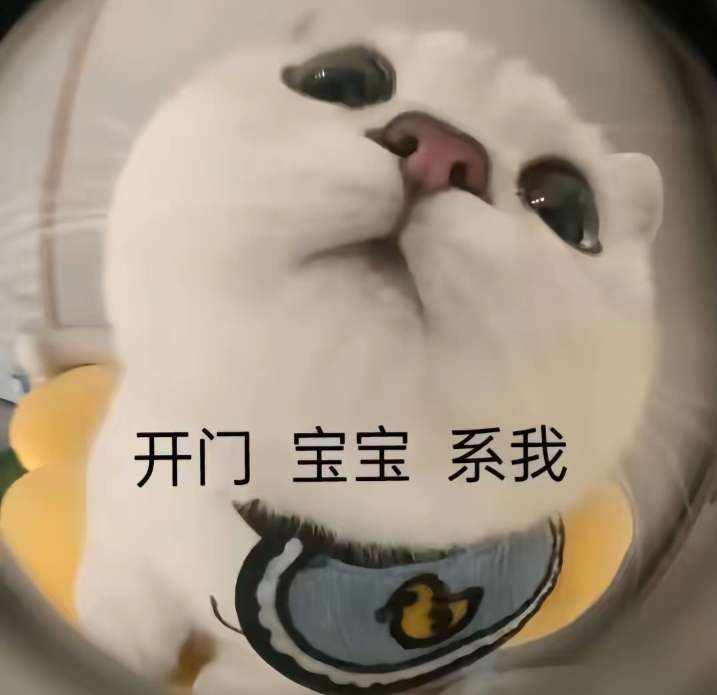 棒棒糖🍭图片1