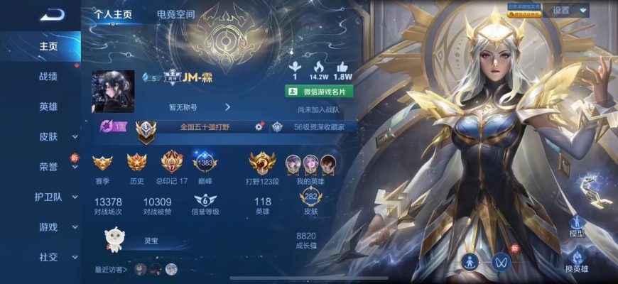 王者荣耀服务图片1