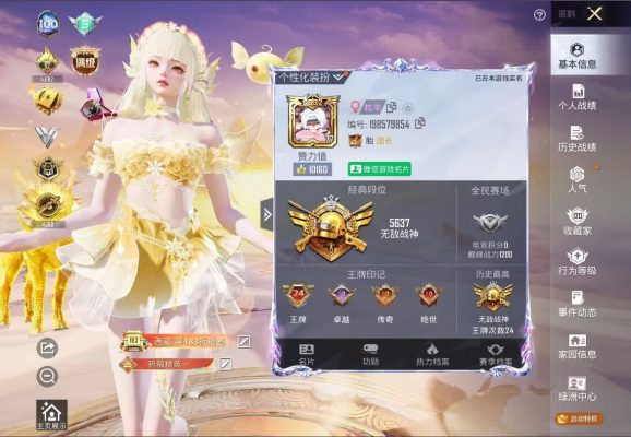 和平精英服务图片1