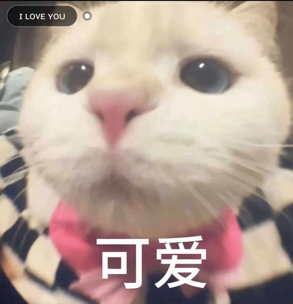 打赏图片1