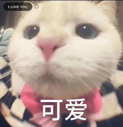 打赏服务图片1