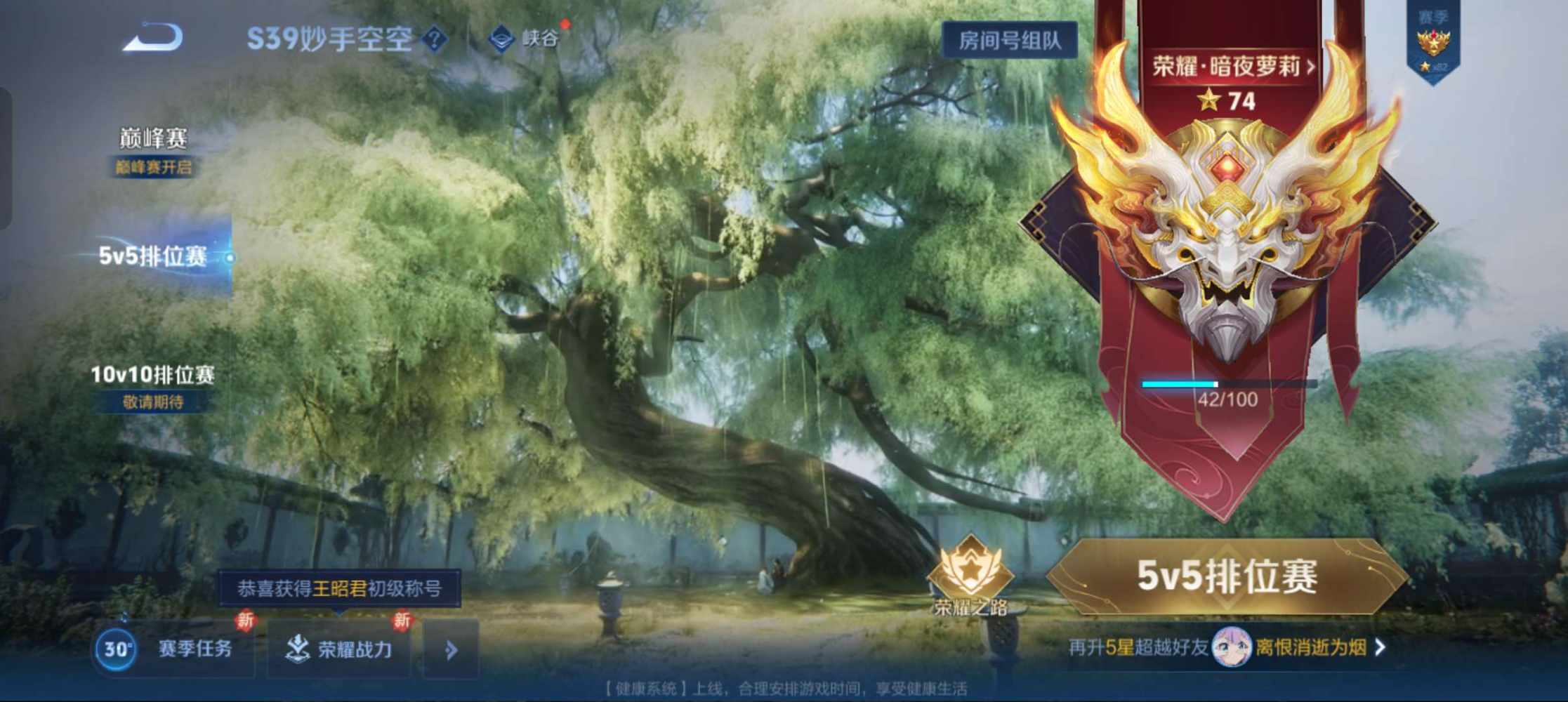 王者荣耀图片2