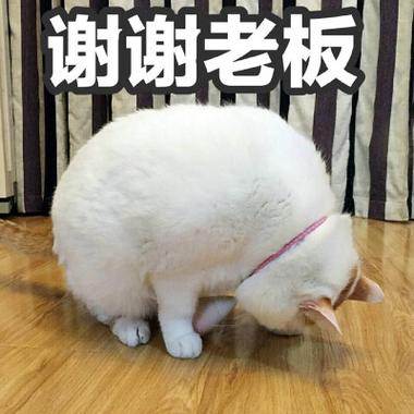 打赏服务图片1