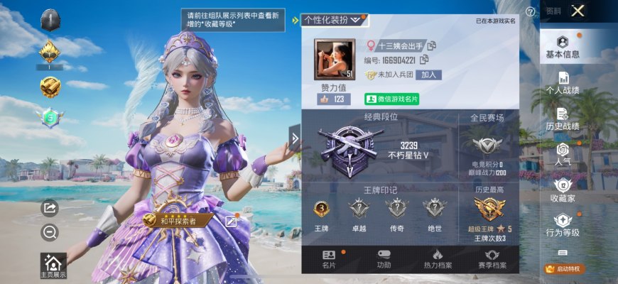 和平精英服务图片1
