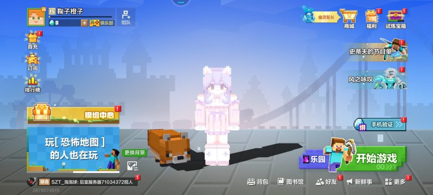 我的世界服务图片1
