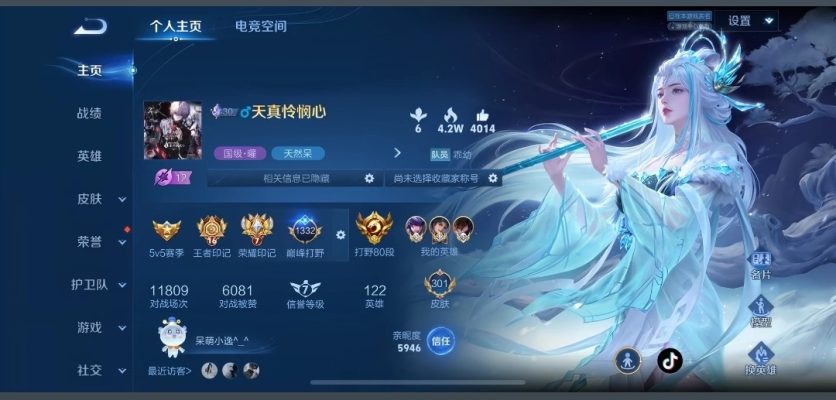 王者荣耀服务图片1