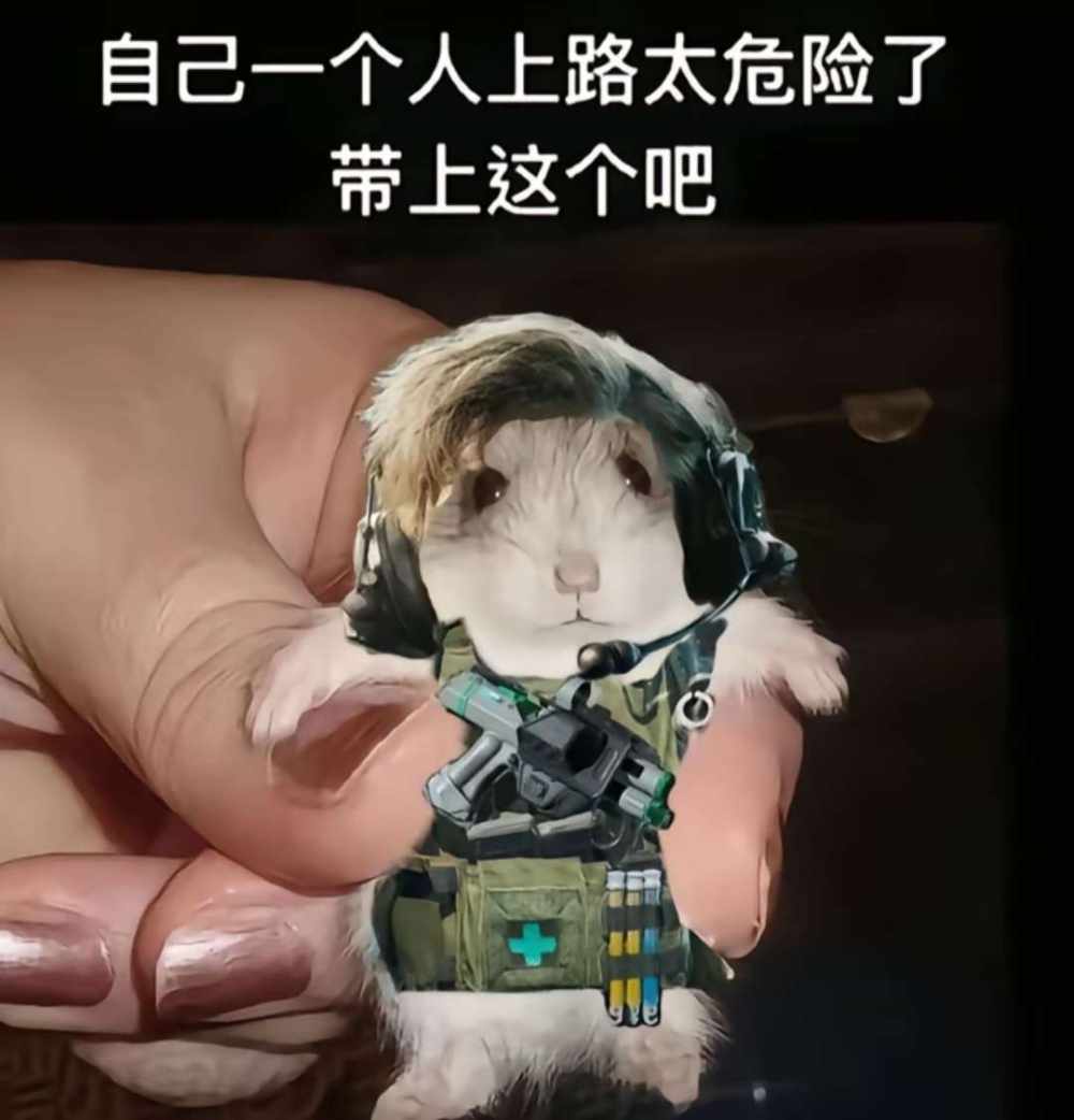 三角洲图片1