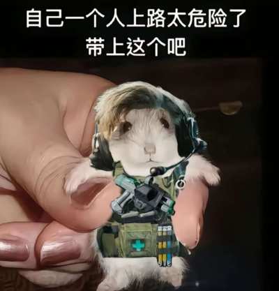 三角洲服务图片1