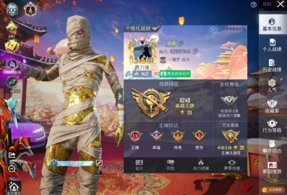 和平精英服务图片1