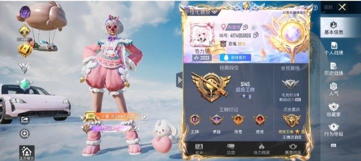 和平精英服务图片1