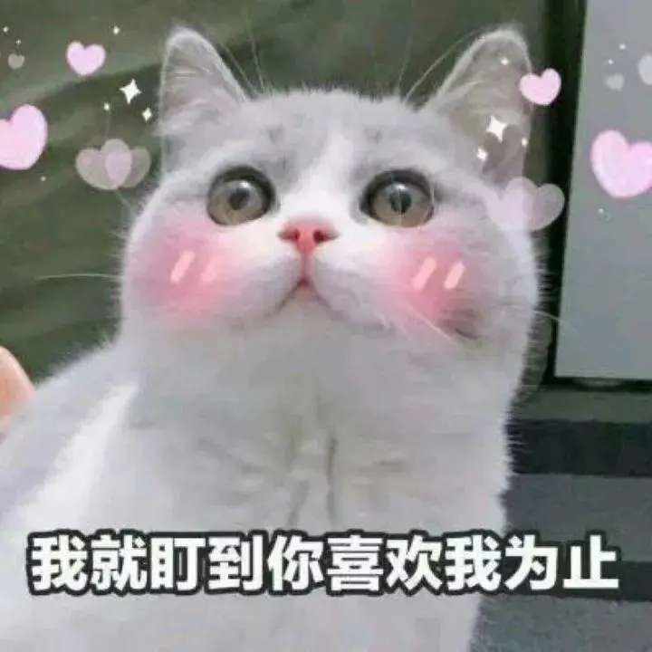 👀👀👀图片1