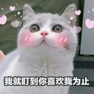 👀👀👀服务图片1