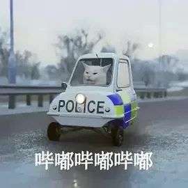 摆烂图片1