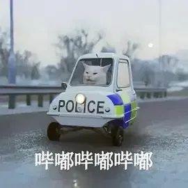 摆烂服务图片1