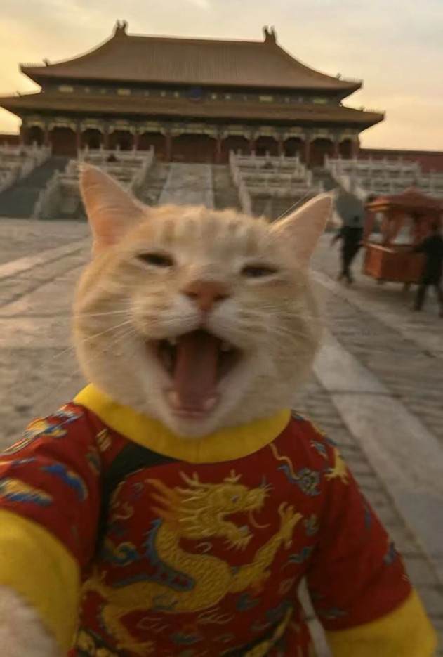 打赏图片1