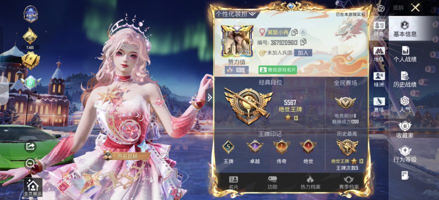 和平精英服务图片1