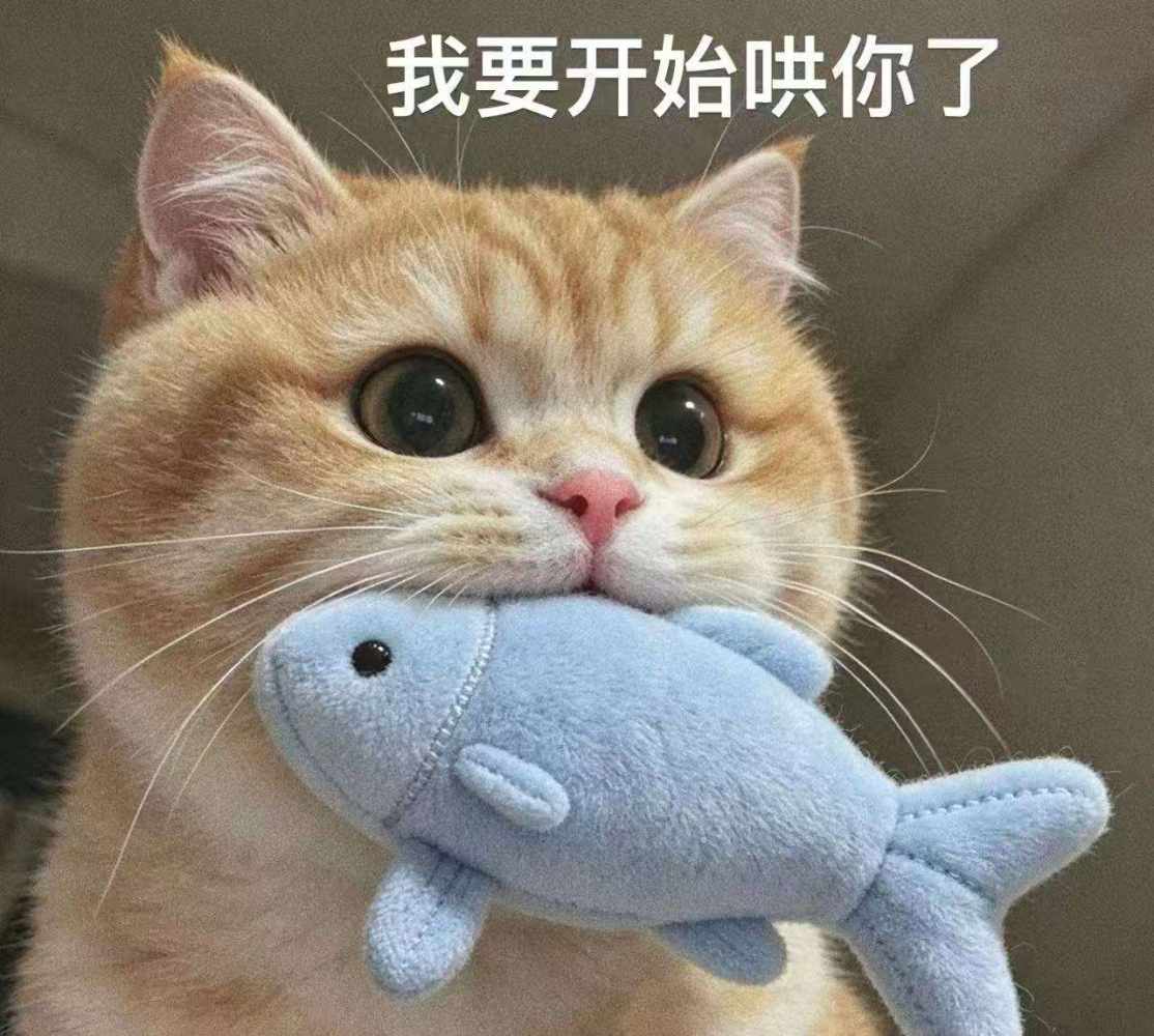接单，包你满意！骗子勿扰！图片1