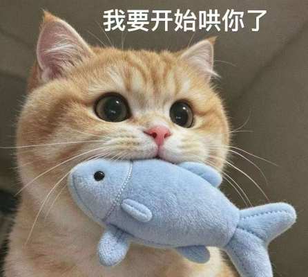 接单，包你满意！骗子勿扰！服务图片1