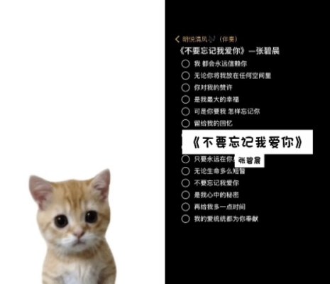 唱歌服务图片1