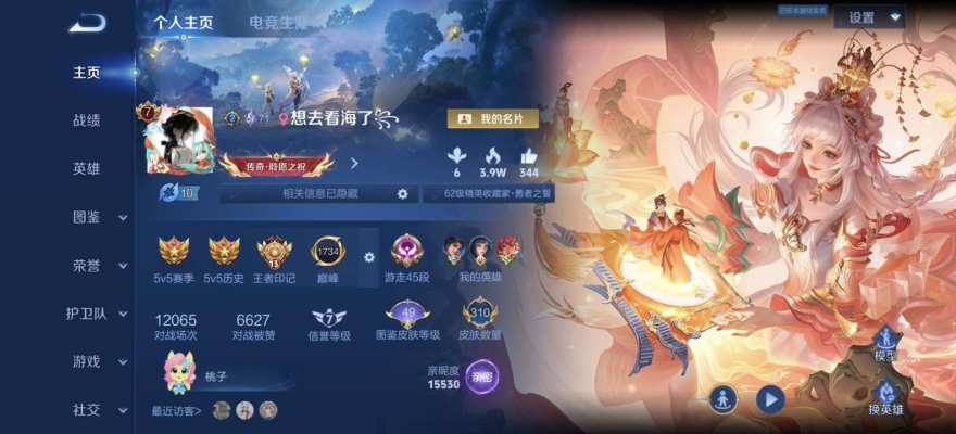 王者荣耀服务图片1
