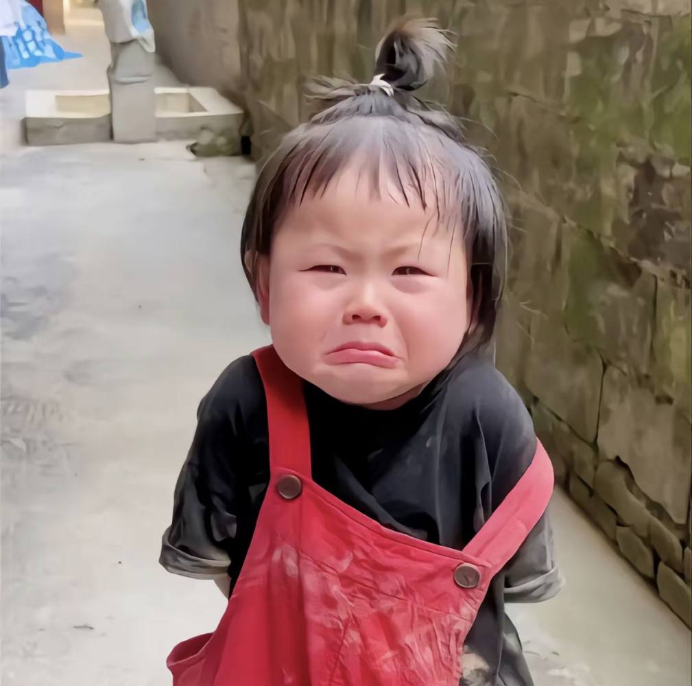 投喂图片1