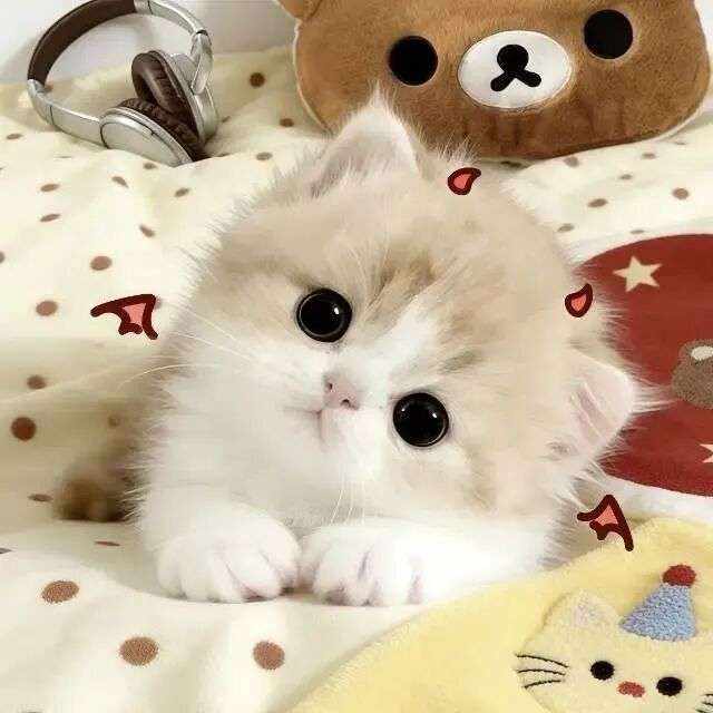 打赏图片1