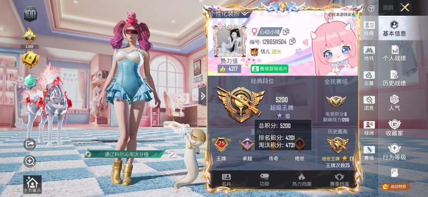 和平精英服务图片1
