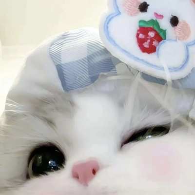 接动态服务图片1