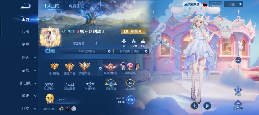 王者荣耀服务图片1