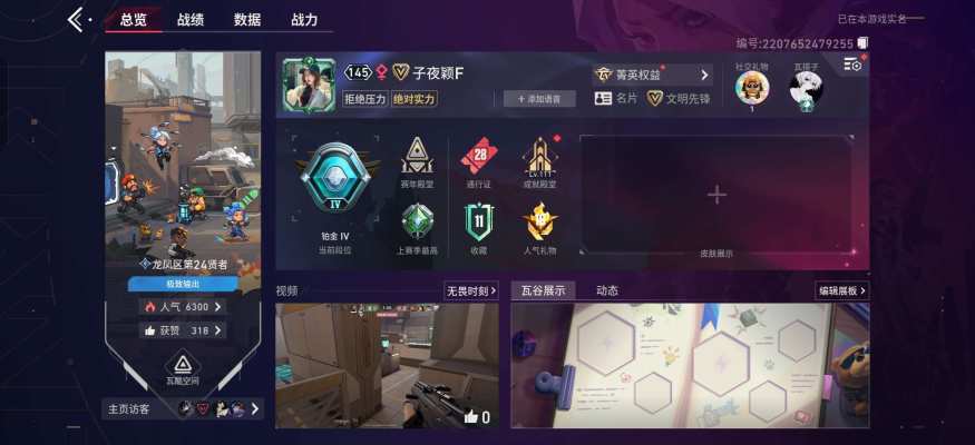无畏契约（手瓦/一单一把）服务图片2
