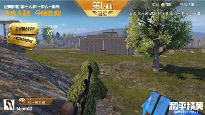 和平精英服务图片2