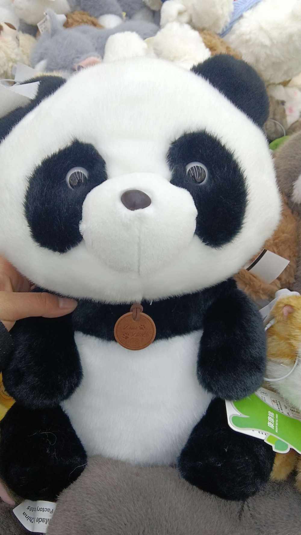 情头单图片1