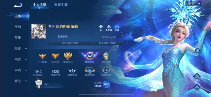 王者荣耀服务图片1
