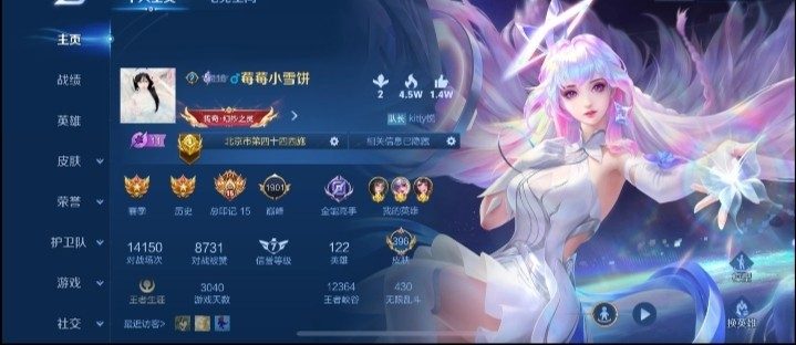 王者荣耀服务图片1