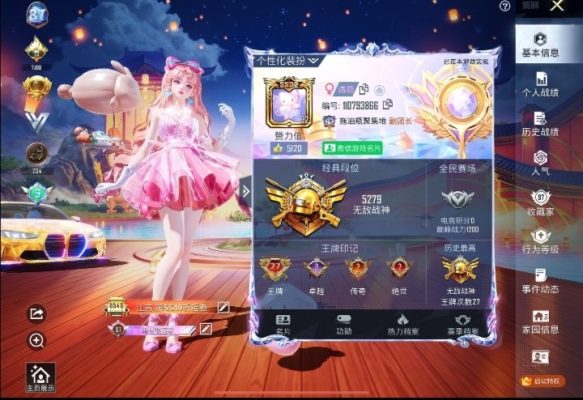 和平精英服务图片1