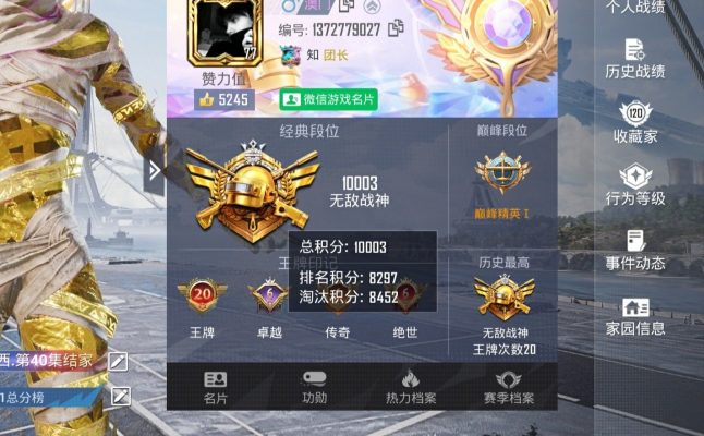 和平精英服务图片1