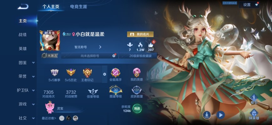 王者荣耀服务图片1