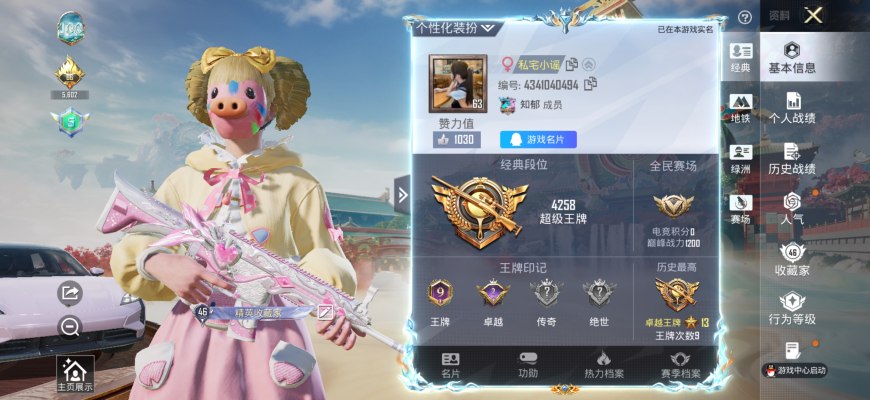 和平精英服务图片1
