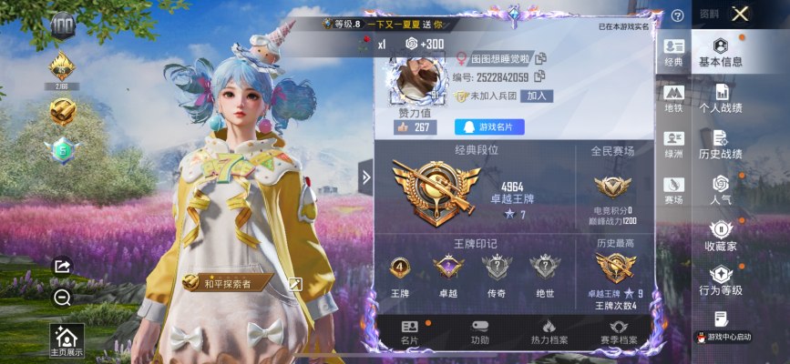 和平精英服务图片1