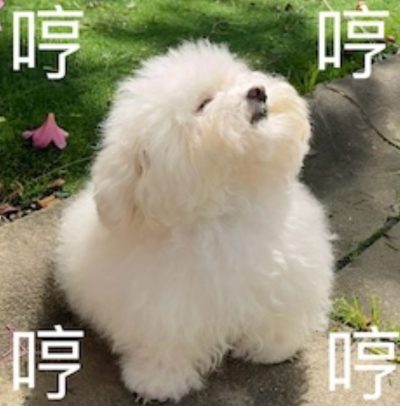 请我吃🍬糖果服务图片1