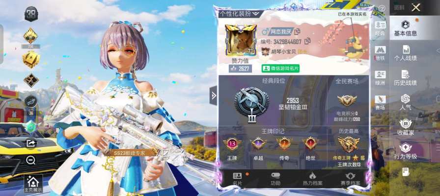 和平精英服务图片1