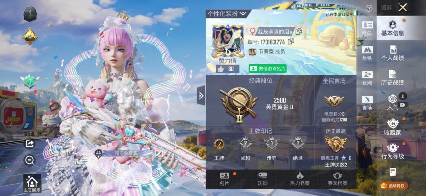 和平精英服务图片1