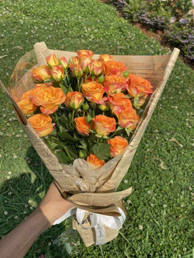 鲜花一束图片1